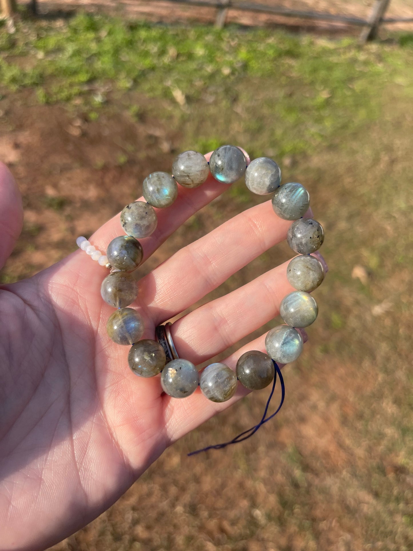 Labradorite Bracelet 11mm