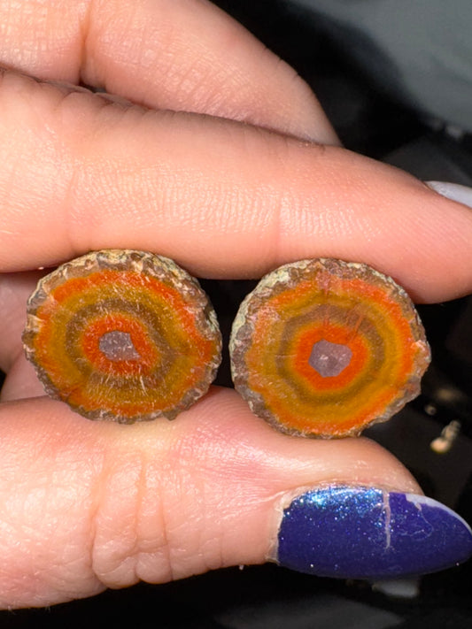 Zhanguo Agate Pairs $16